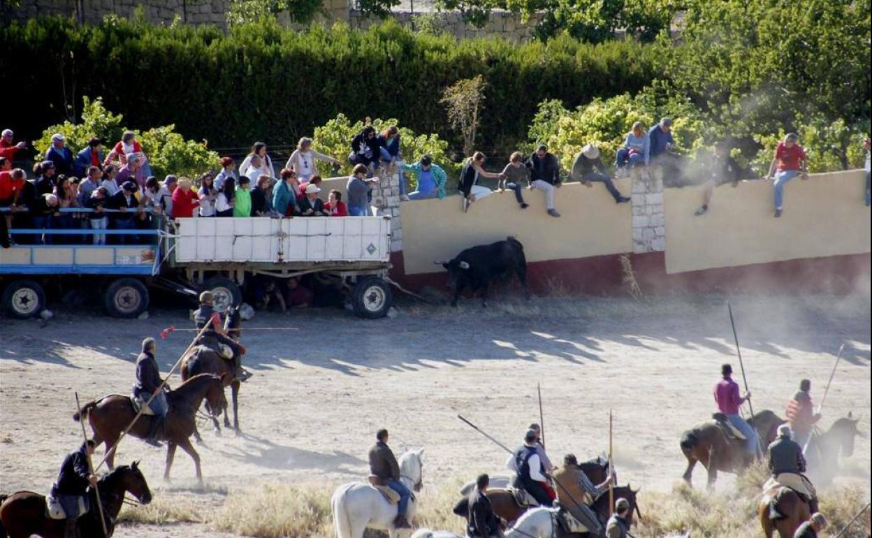 El primer y multitudinario encierro por el campo se resuelve en Portillo de forma rápida y vistosa