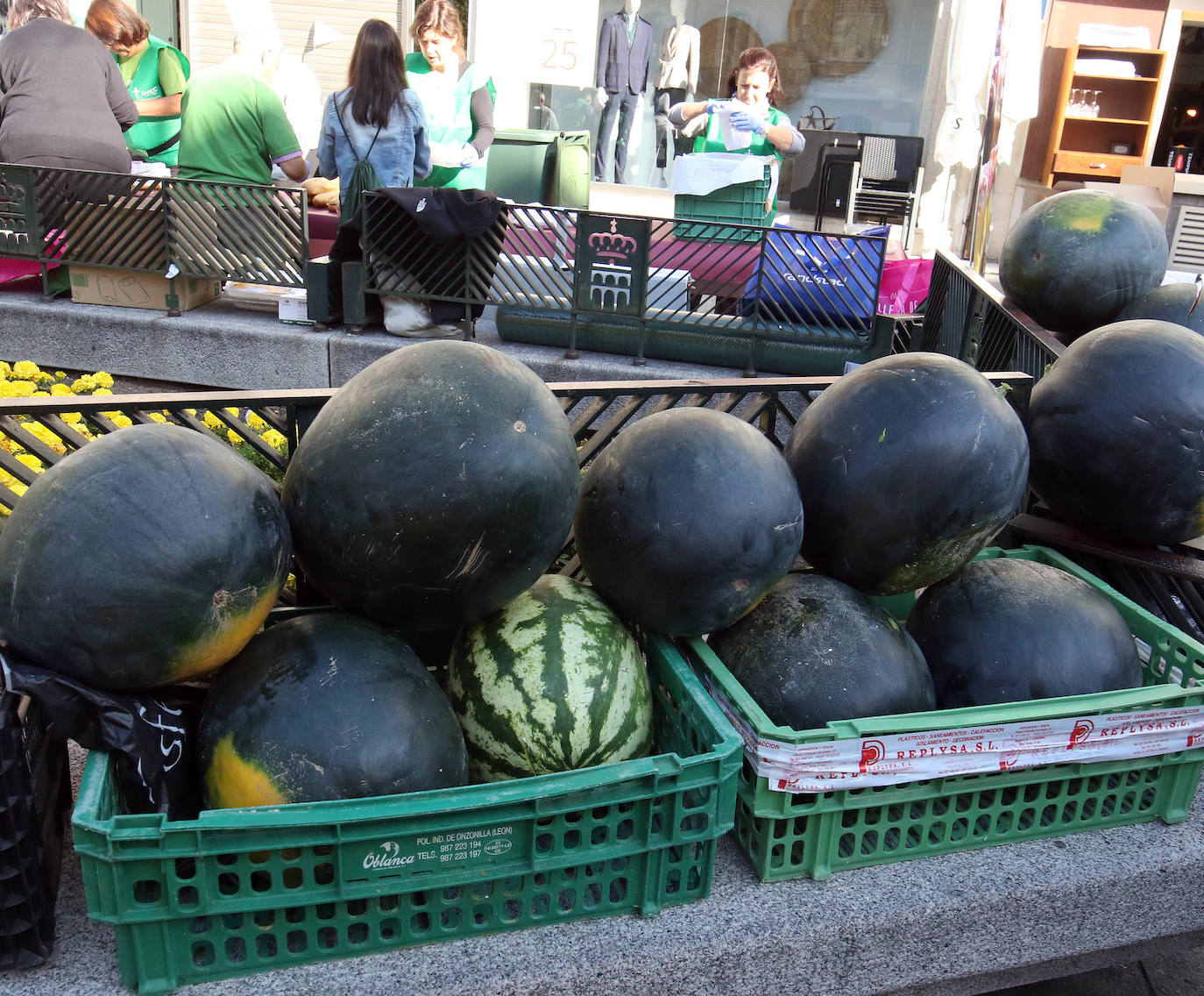 Fotos: VI Marcha contra el Cáncer en Segovia