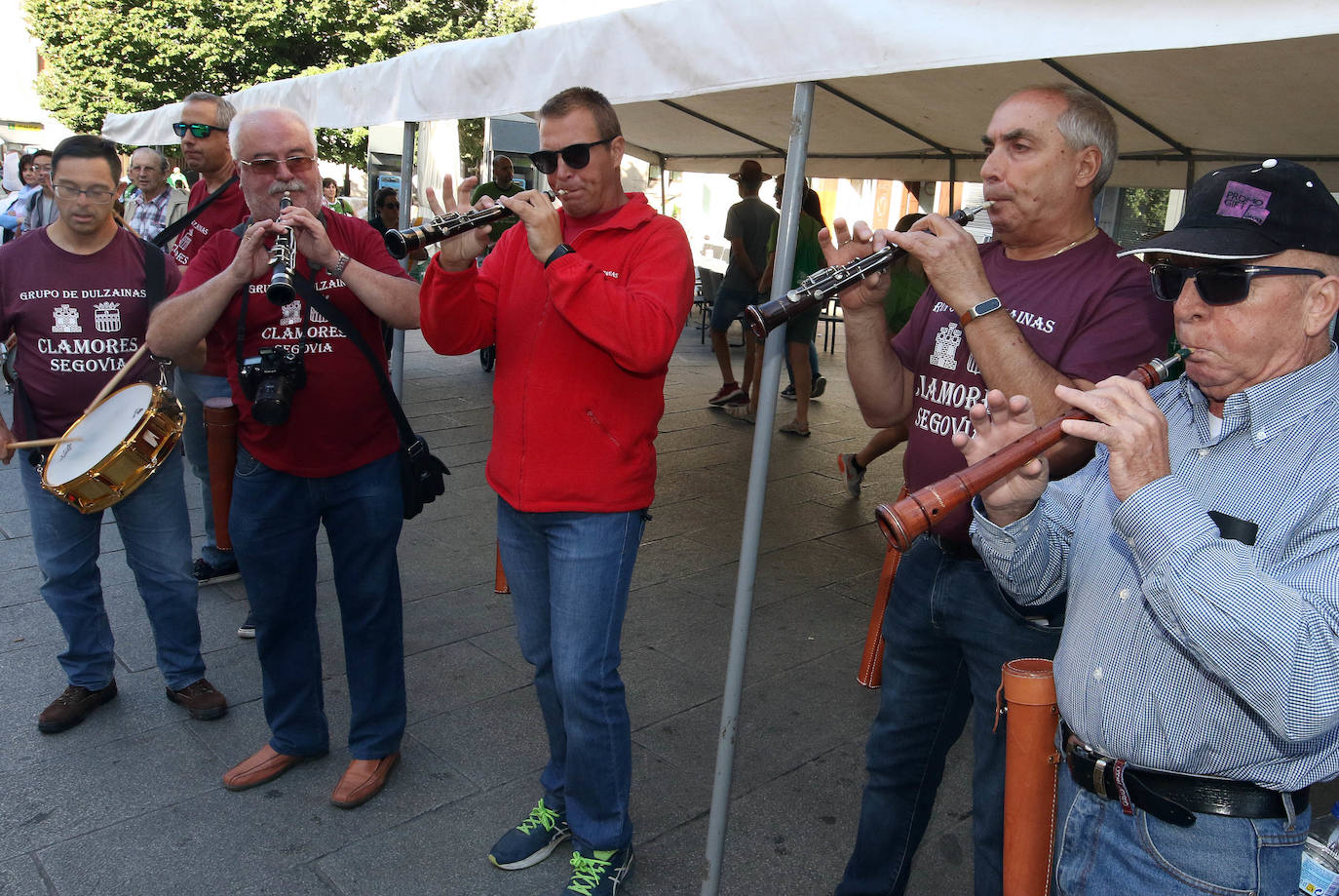 Fotos: VI Marcha contra el Cáncer en Segovia