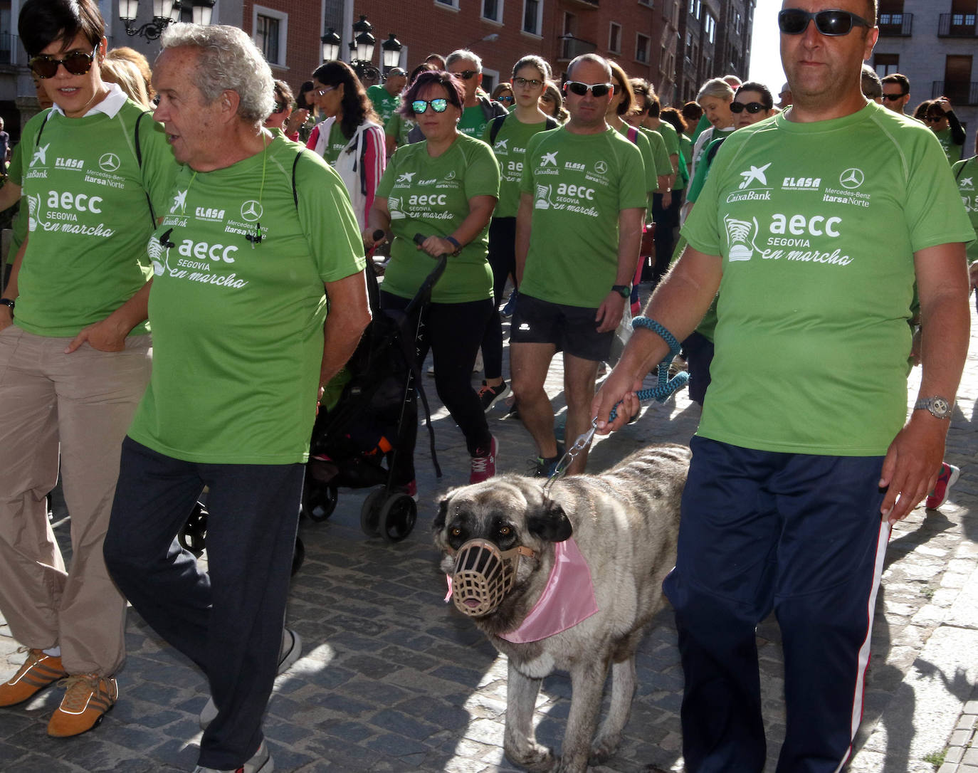Fotos: VI Marcha contra el Cáncer en Segovia