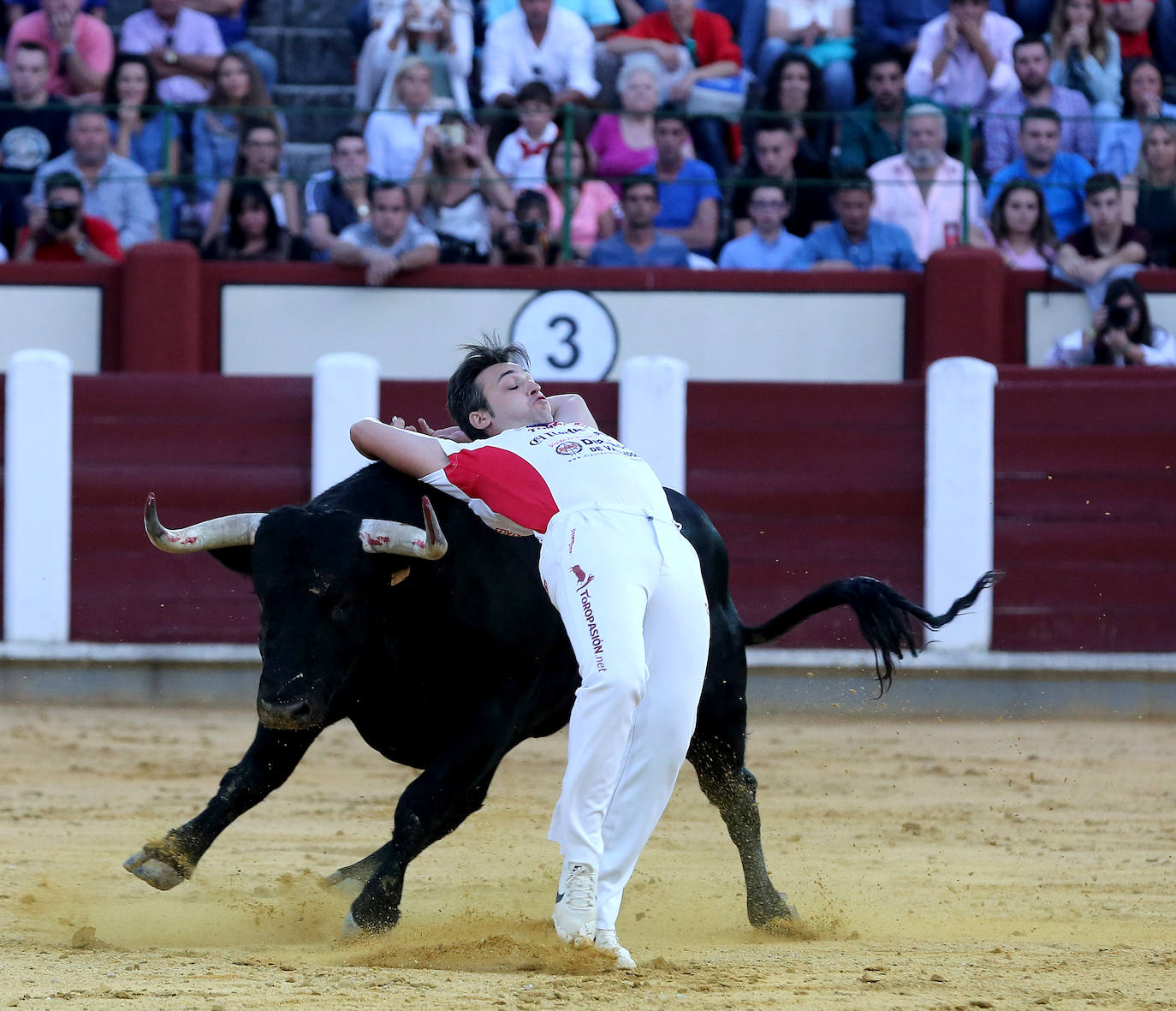 Fotos: Final de la Liga de Corte Puro