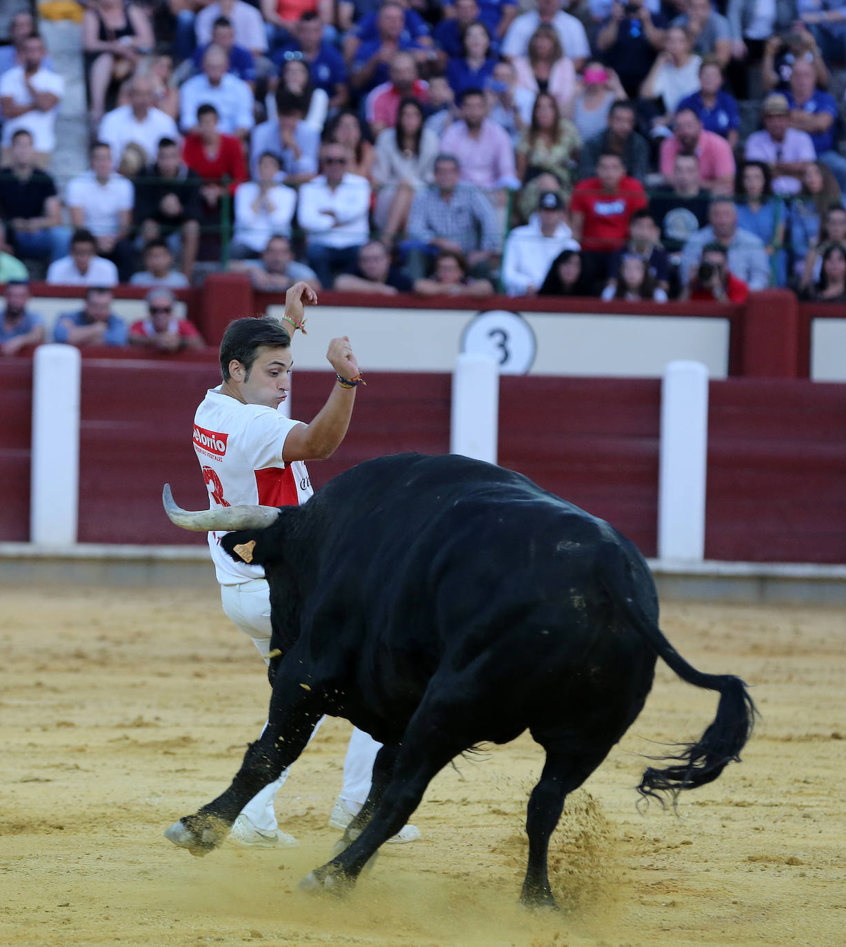 Fotos: Final de la Liga de Corte Puro