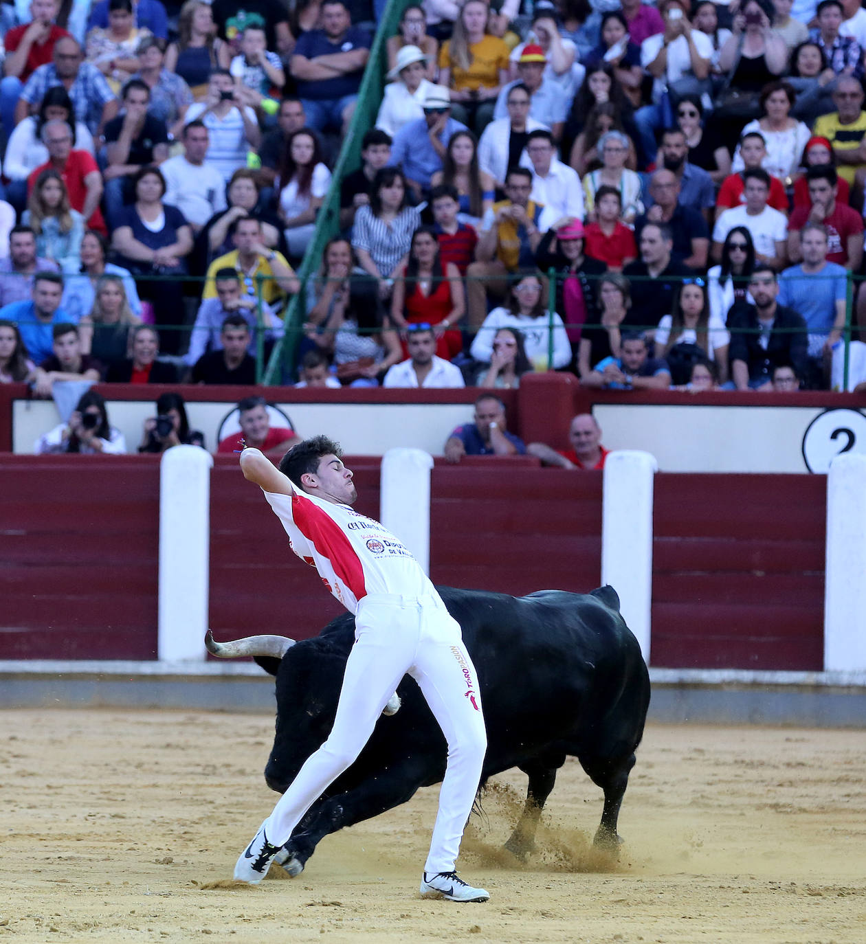 Fotos: Final de la Liga de Corte Puro