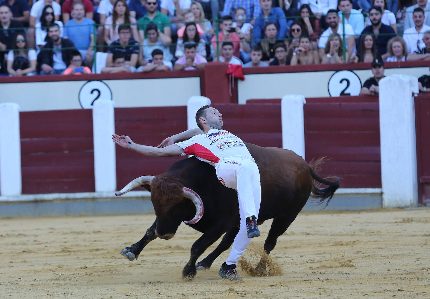Fotos: Final de la Liga de Corte Puro