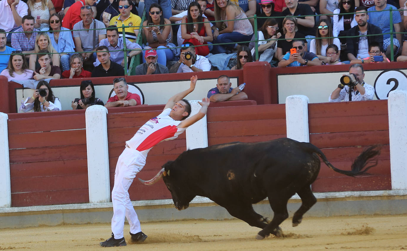 Fotos: Final de la Liga de Corte Puro