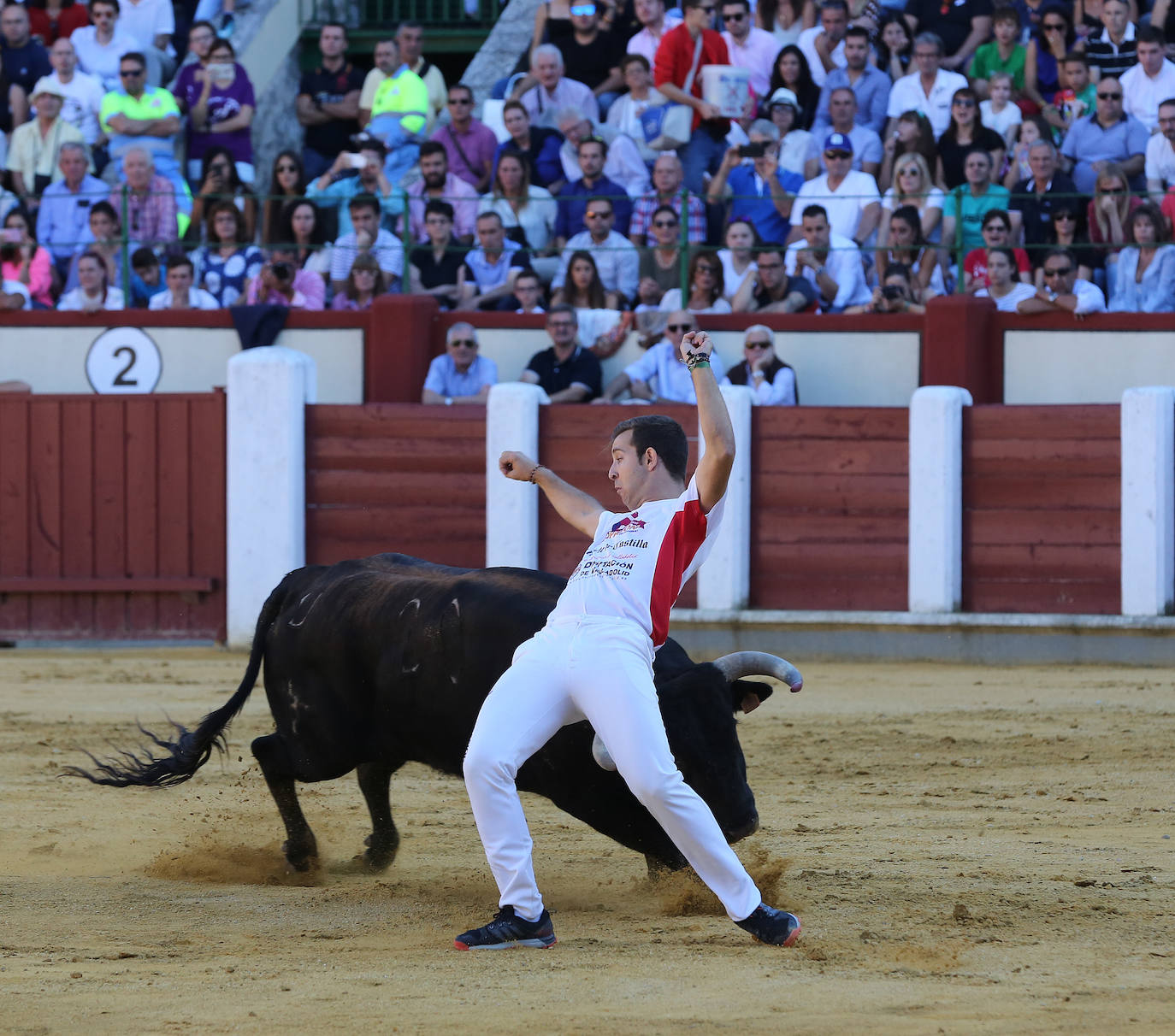 Fotos: Final de la Liga de Corte Puro