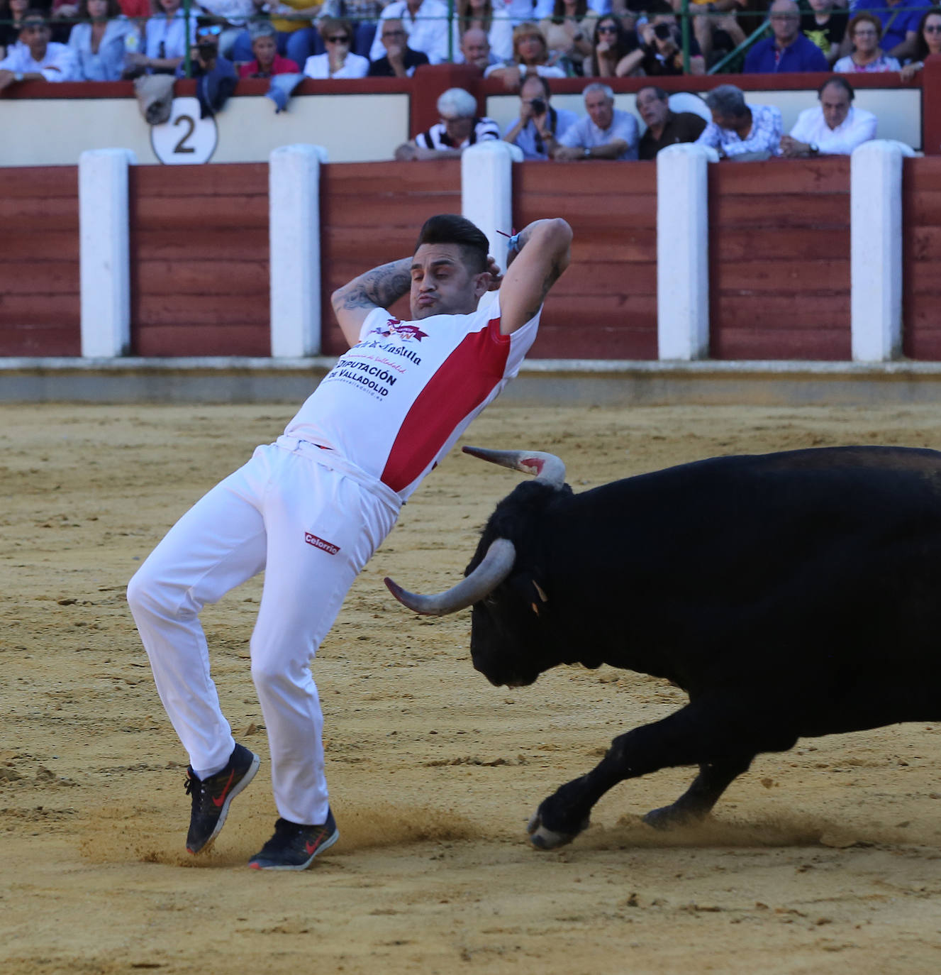 Fotos: Final de la Liga de Corte Puro