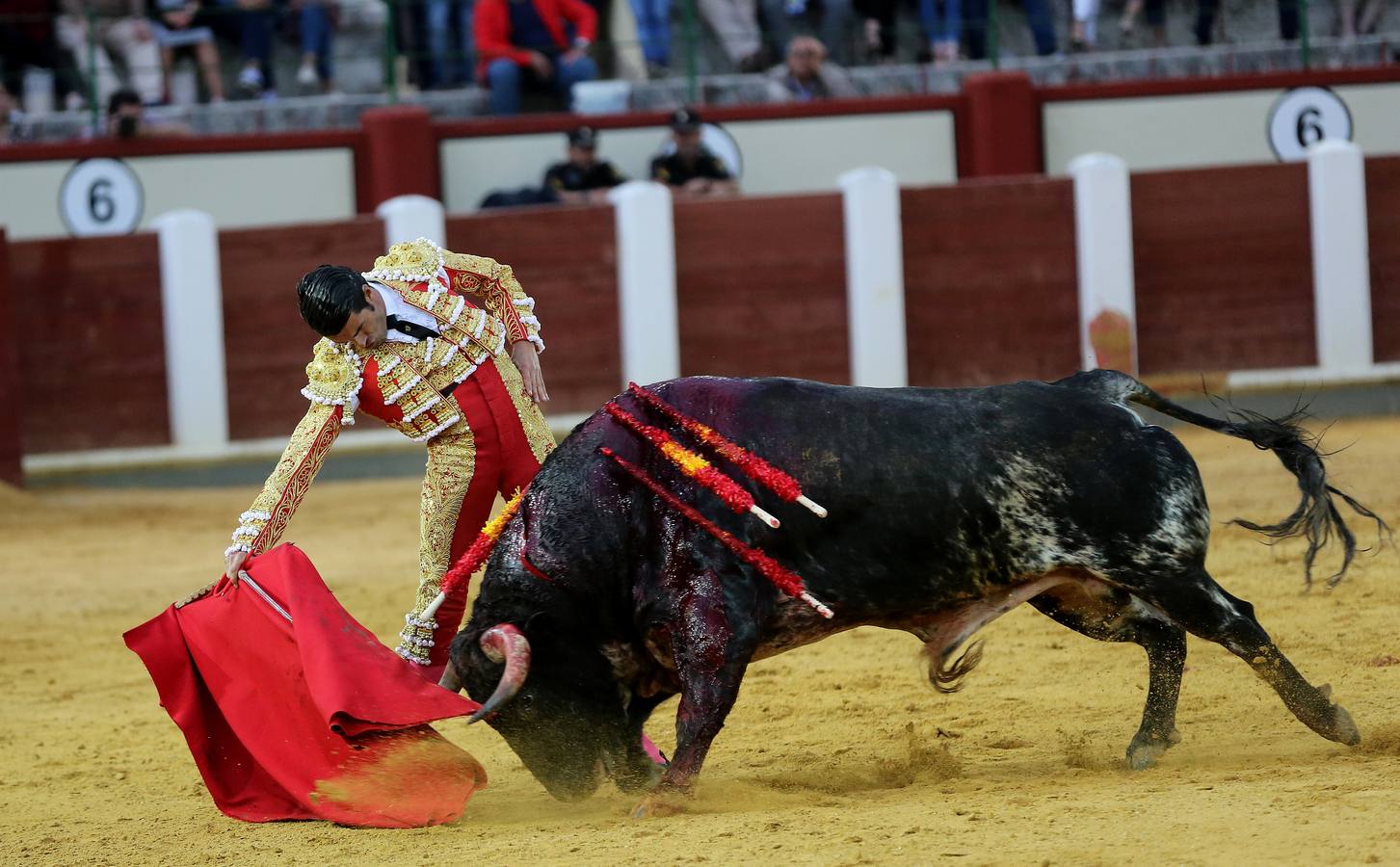 Fotos: El Fandi, Perera y De Justo en la cuarta corrida de la Feria de la Virgen de San Lorenzo de Valladolid