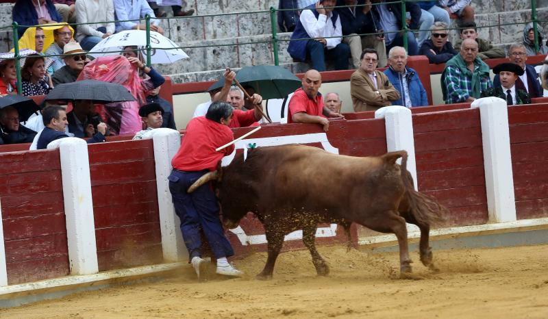 Fotos: La cogida del monosabio en diez imágenes