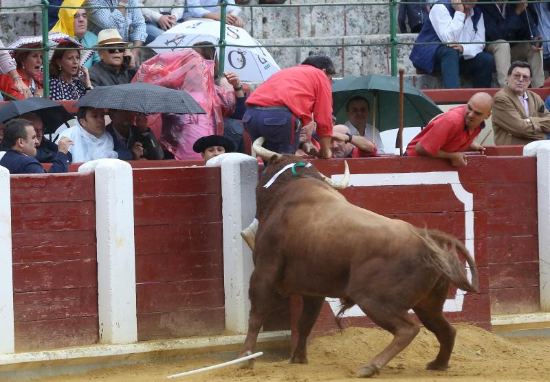 Fotos: La cogida del monosabio en diez imágenes