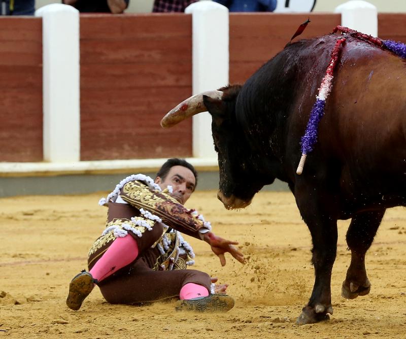 Fotos: El Cid, López Simón y Ginés Marín, en la quinta corrida de la Feria de la Virgen de San Lorenzo