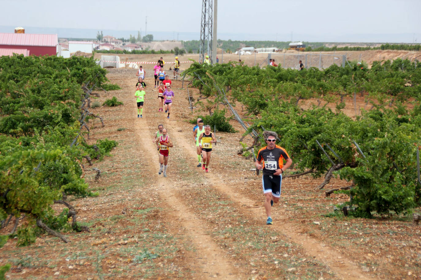 Fotos: Más de 300 atletas participan en la carrera &#039;Corriendo entre viña&#039; de Rueda (2/2