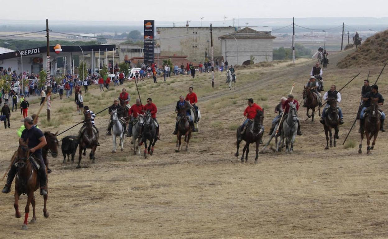 Encierro campero en Portillo. 