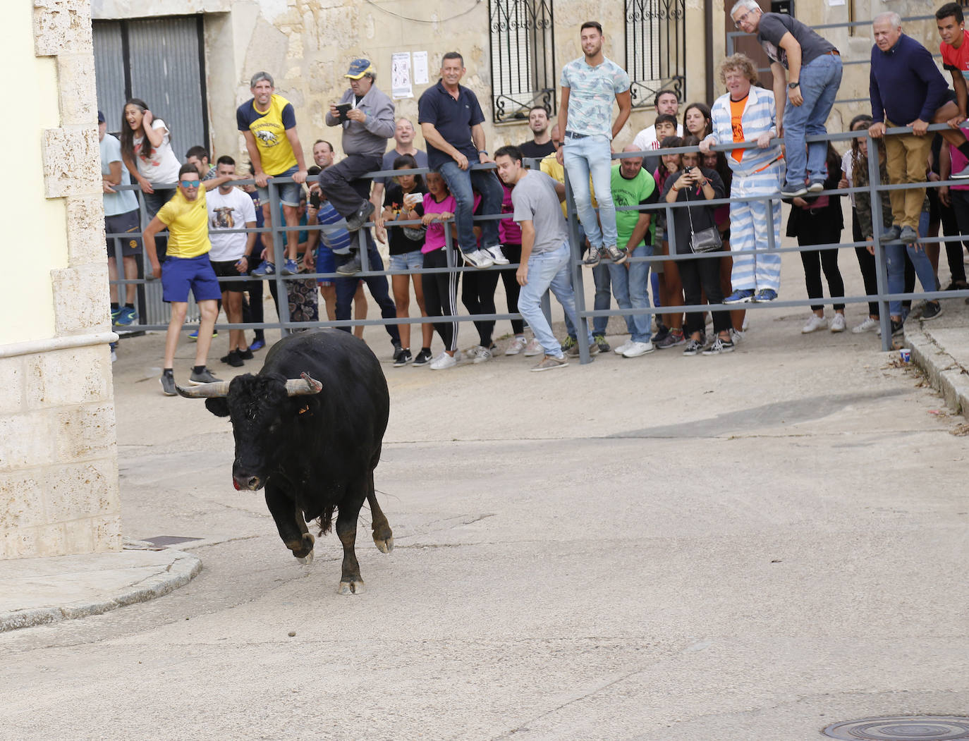 Fotos: Toro de pueblo en Astudillo