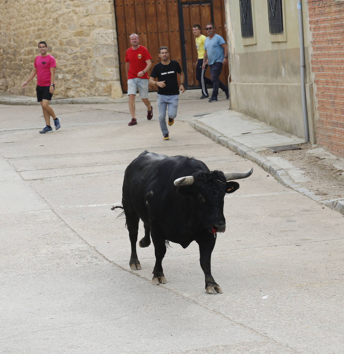 Fotos: Toro de pueblo en Astudillo