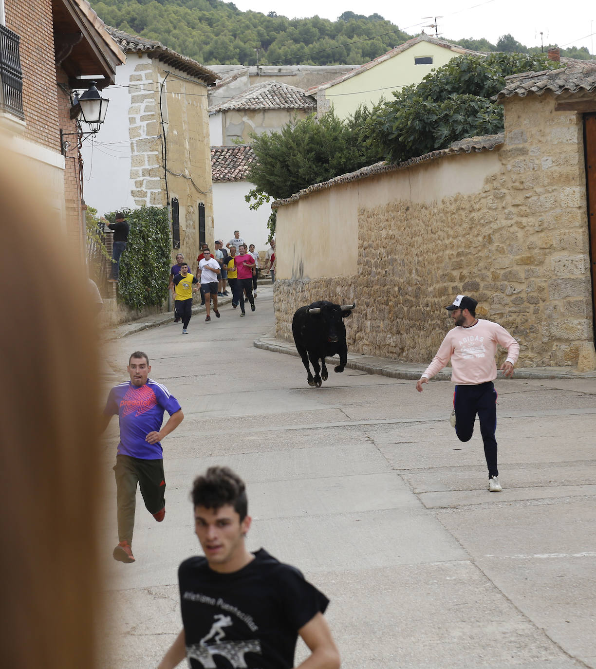 Fotos: Toro de pueblo en Astudillo