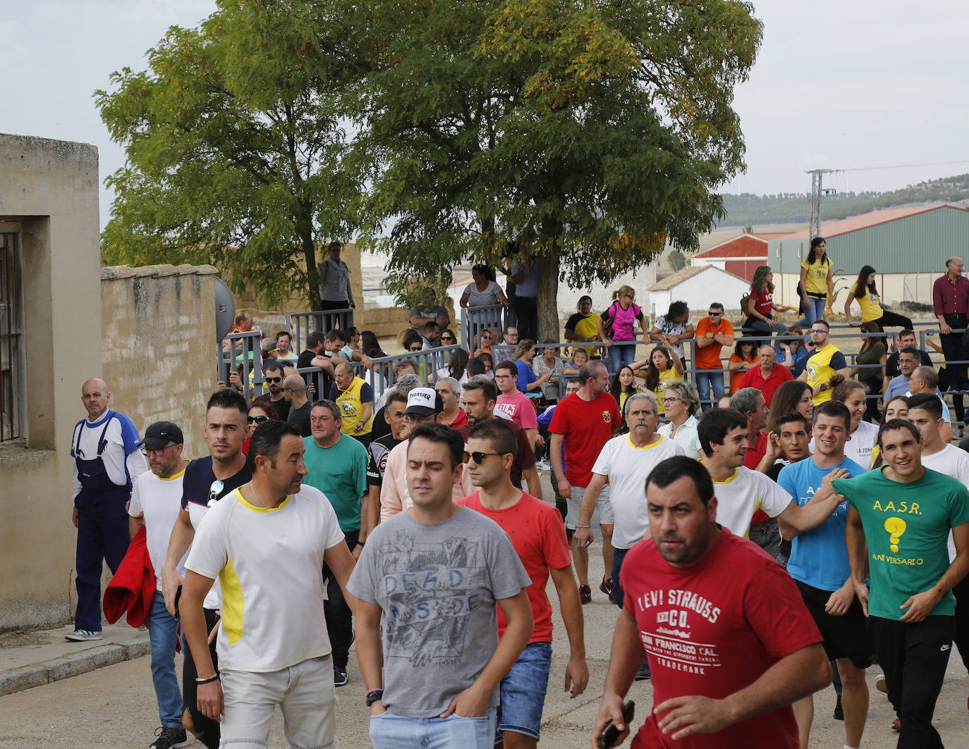 Fotos: Toro de pueblo en Astudillo