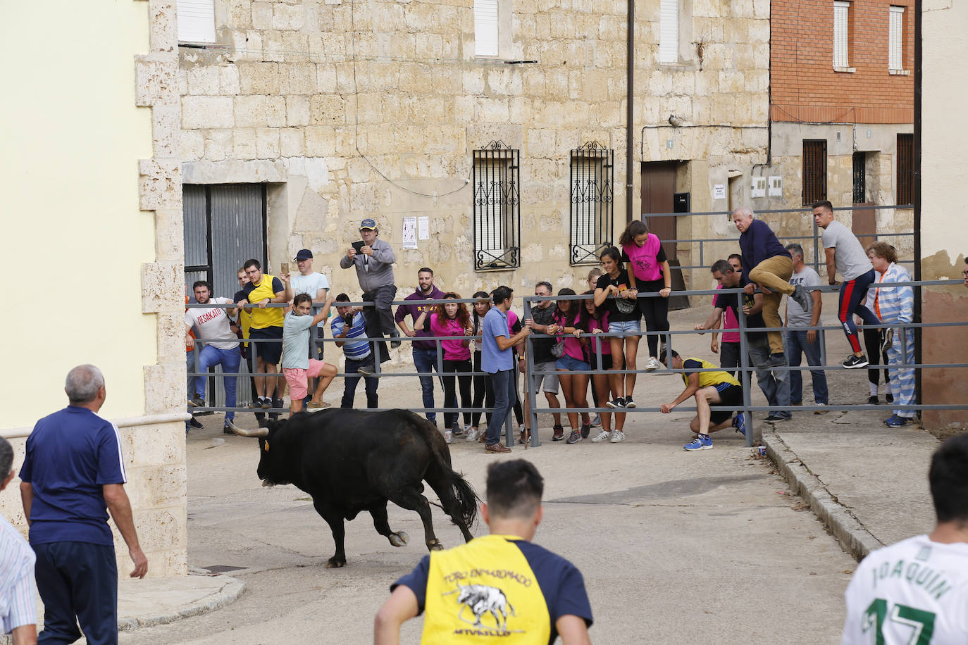 Fotos: Toro de pueblo en Astudillo