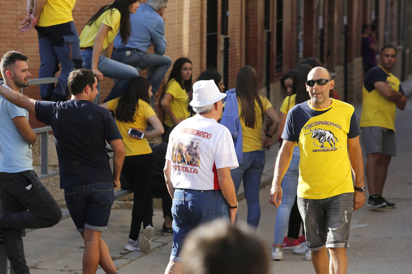 Fotos: Toro de pueblo en Astudillo