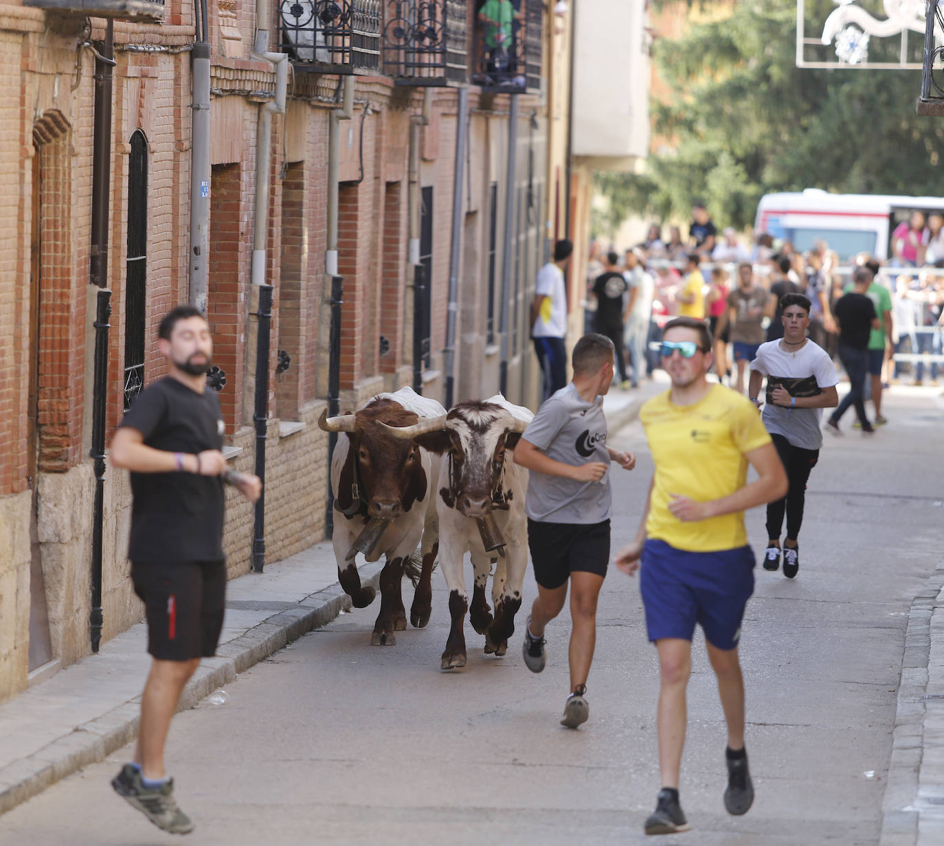 Fotos: Toro de pueblo en Astudillo