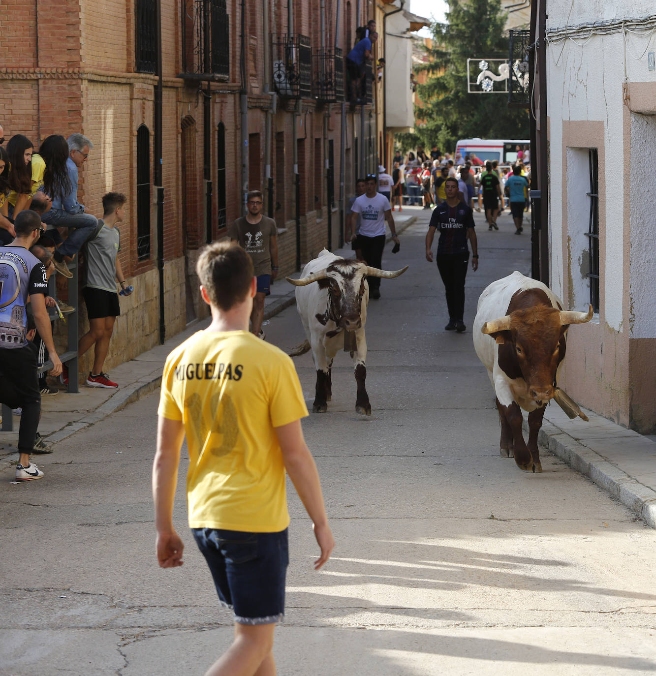 Fotos: Toro de pueblo en Astudillo