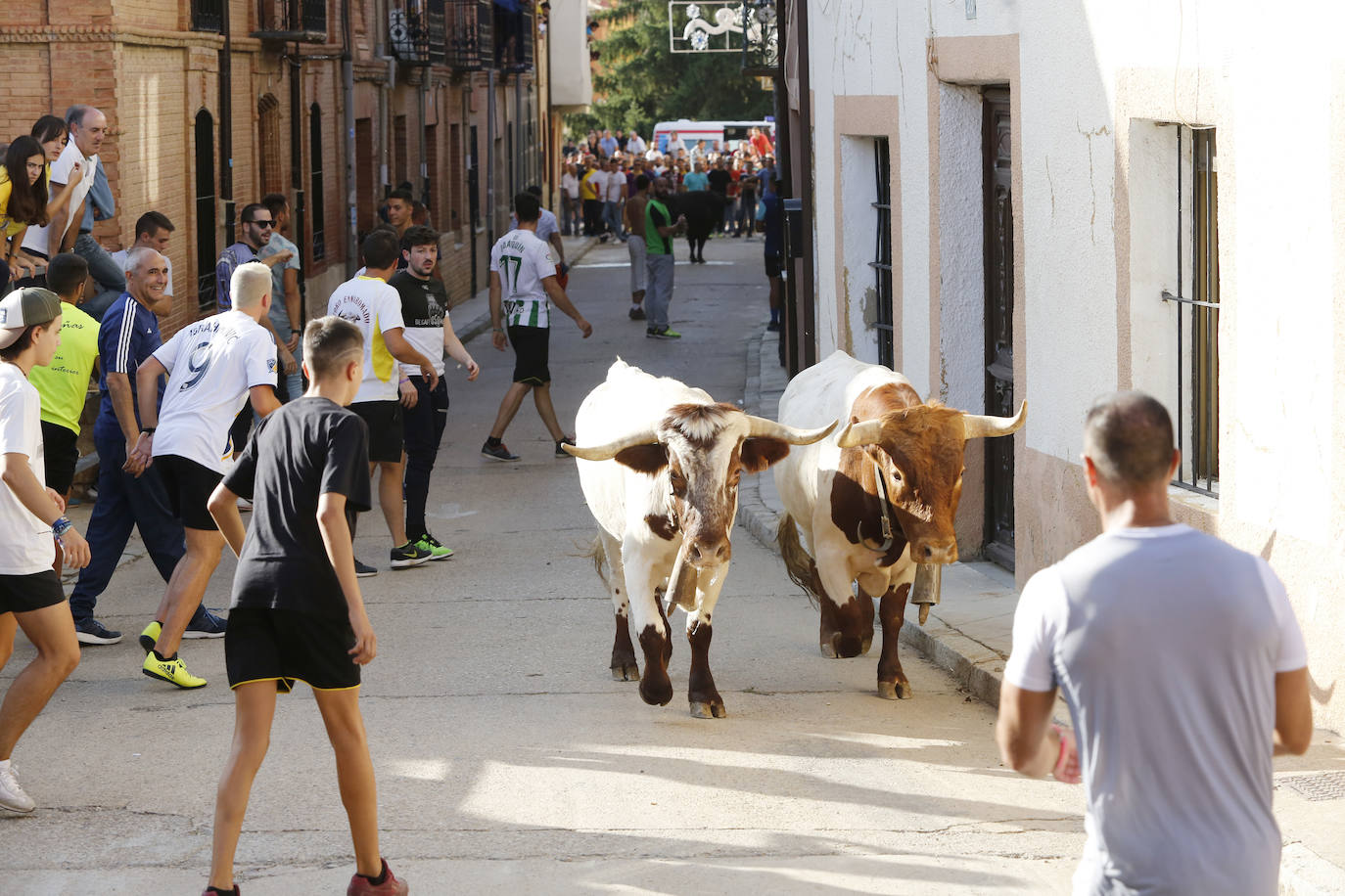 Fotos: Toro de pueblo en Astudillo