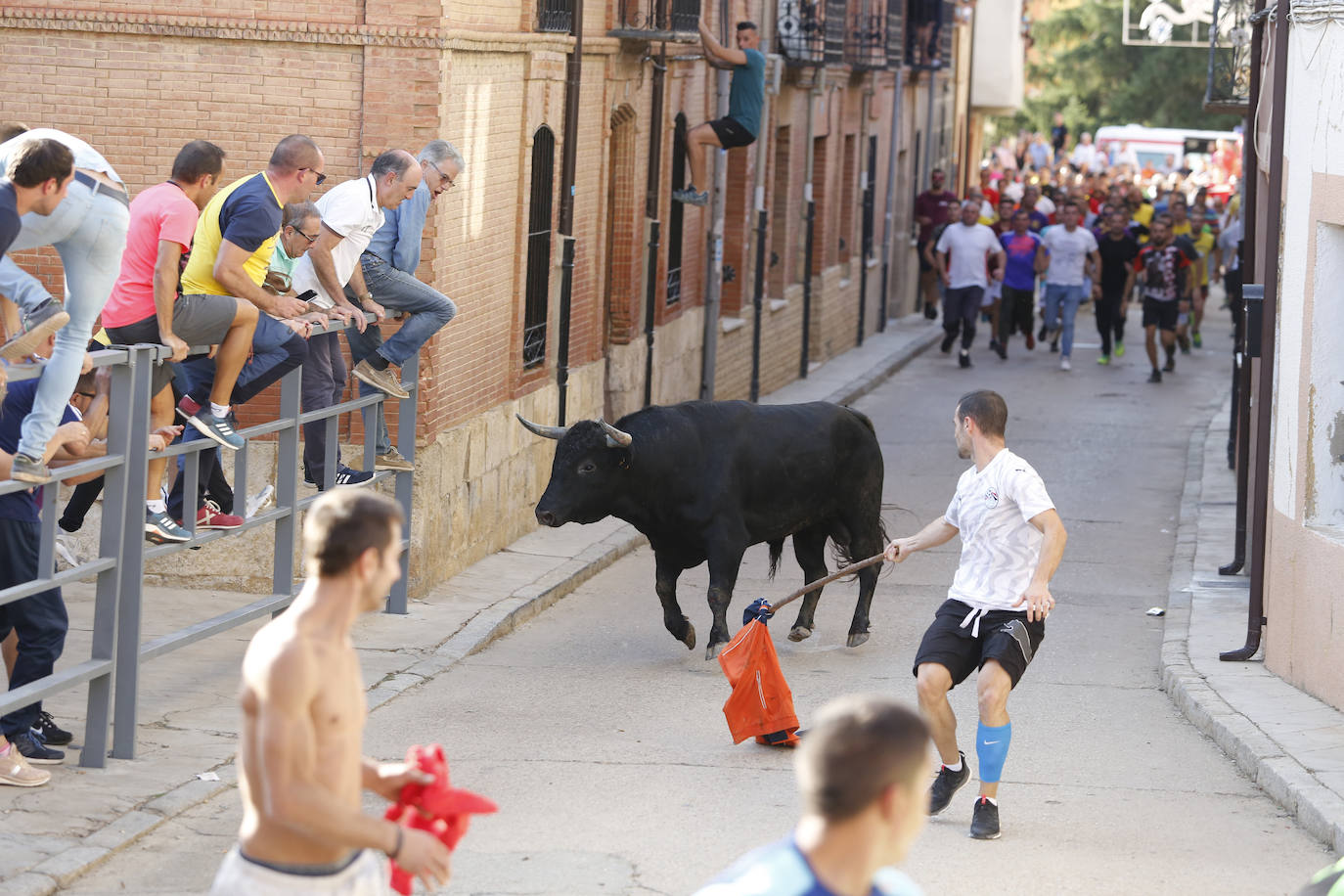 Fotos: Toro de pueblo en Astudillo