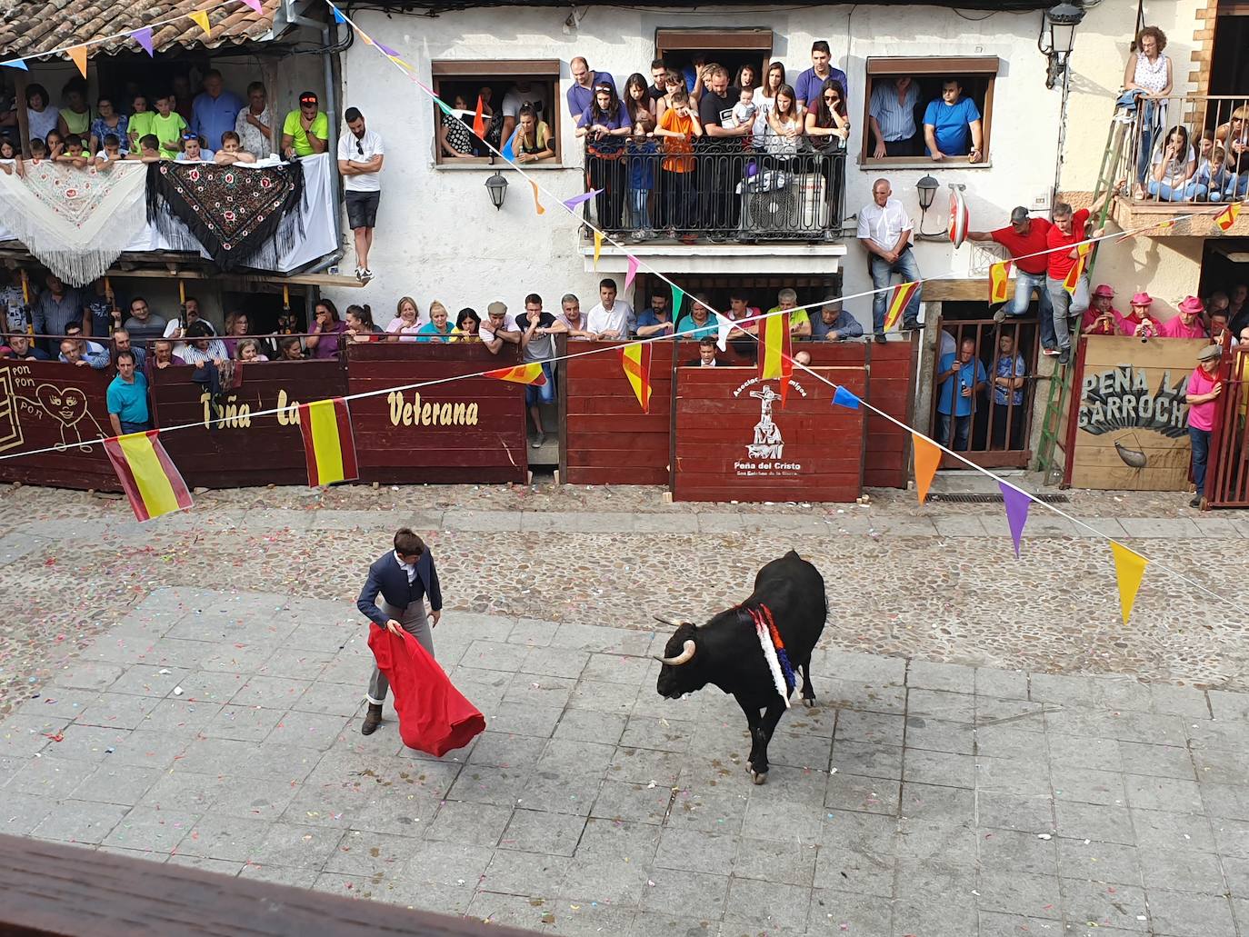 Fotos: Día del Toro en las fiestas de San Esteban de la Sierra