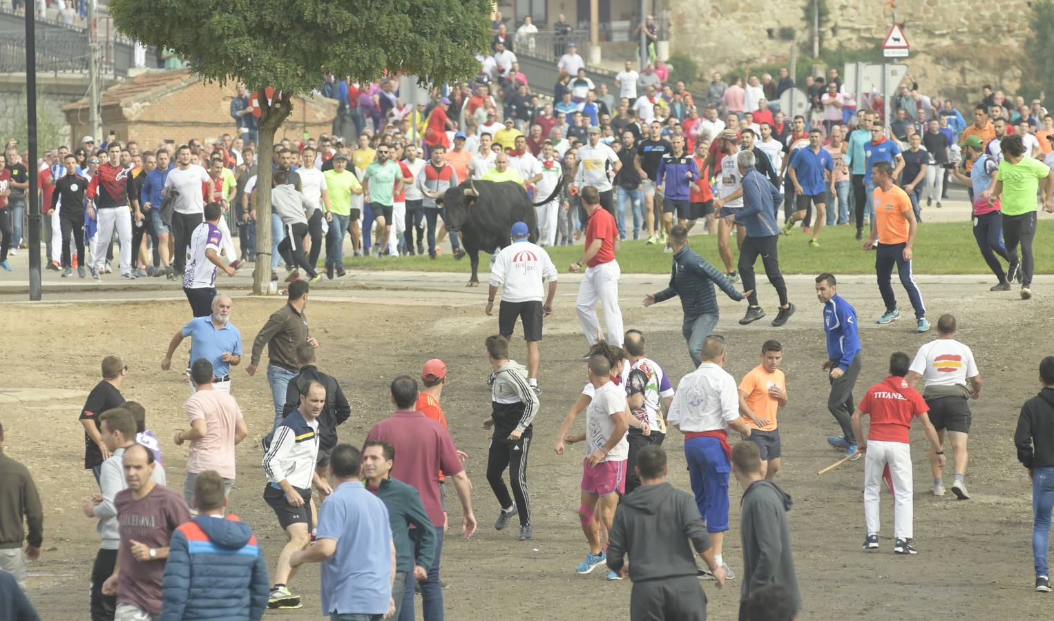 Tan solo unos tres minutos ha tardado 'Barco' en acceder a la zona de pinares | Se detuvo unos segundos en la rotonda, y acudió a algunos cites de los aficionados.