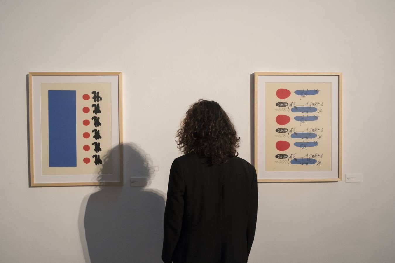 El centenario del nacimiento de Joan Brosa (1919-1998) enmarca la muestra que reúne 69 grabados, litografías y serigrafías de este artista y de Joan Miró (1893-1983), a modo de discurso explorativo de la relación personal y artística que entre ambos trabaron a partir de 1941