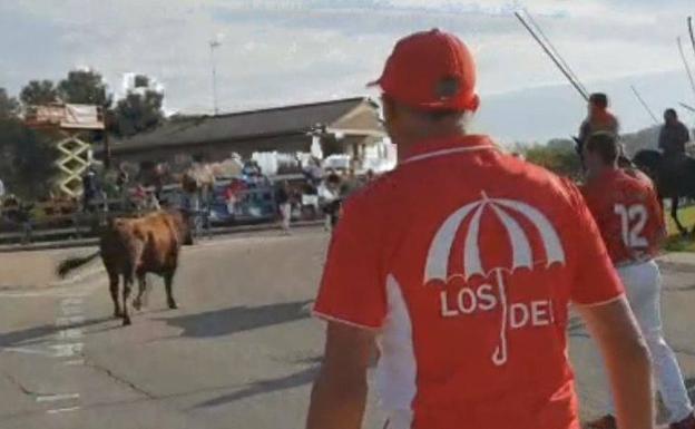 Un momento del encierro de esta mañana.