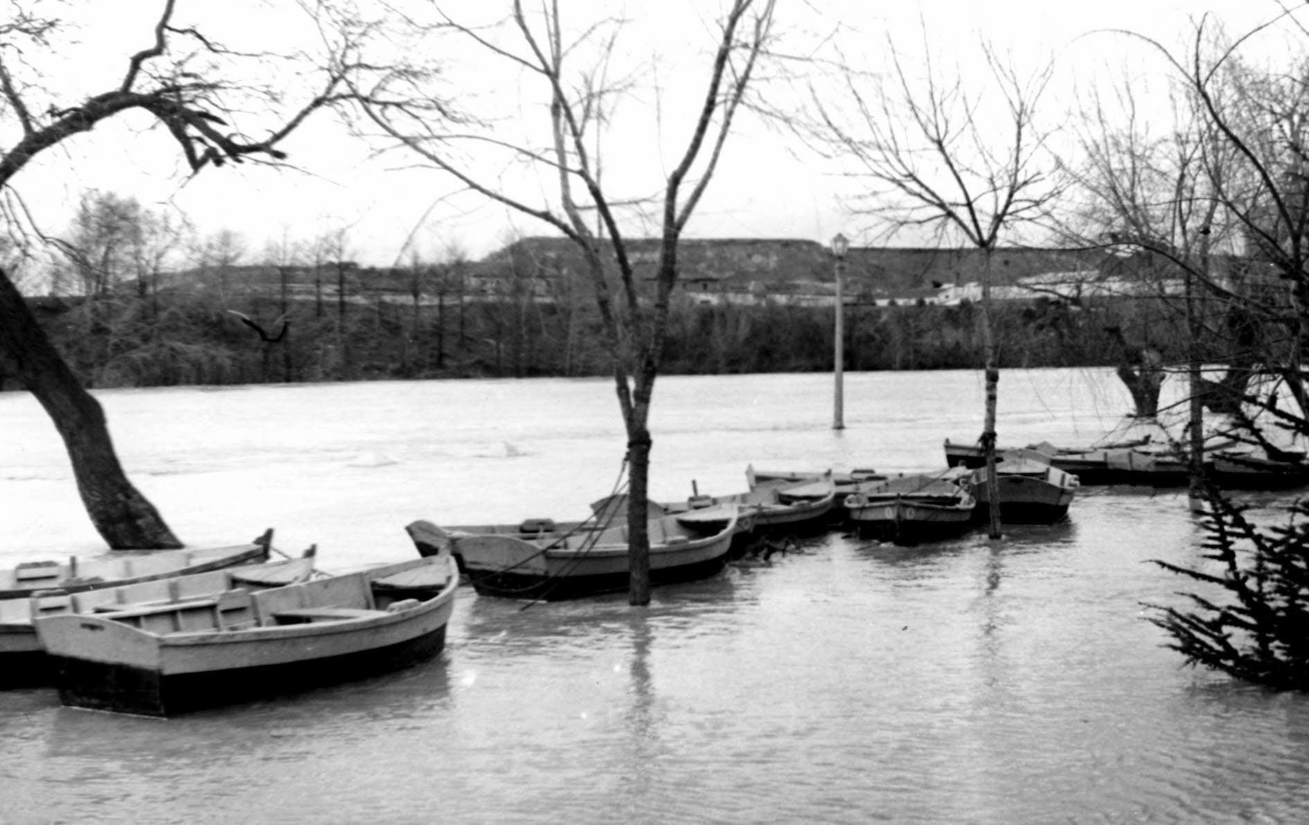 3 de enero de 1962. Barcas atadas a unos árboles junto a Las Moreras.