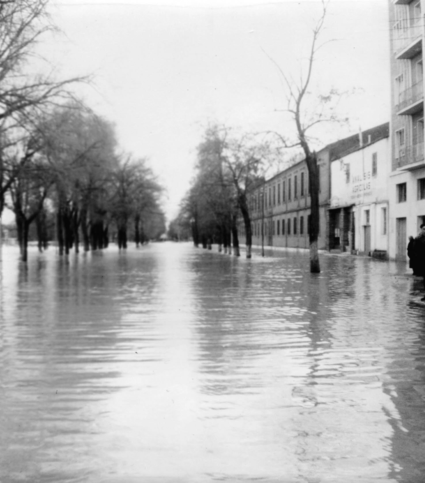 3 de enero de 1962. El paseo de Isabel la Católica, sepultado por el agua.