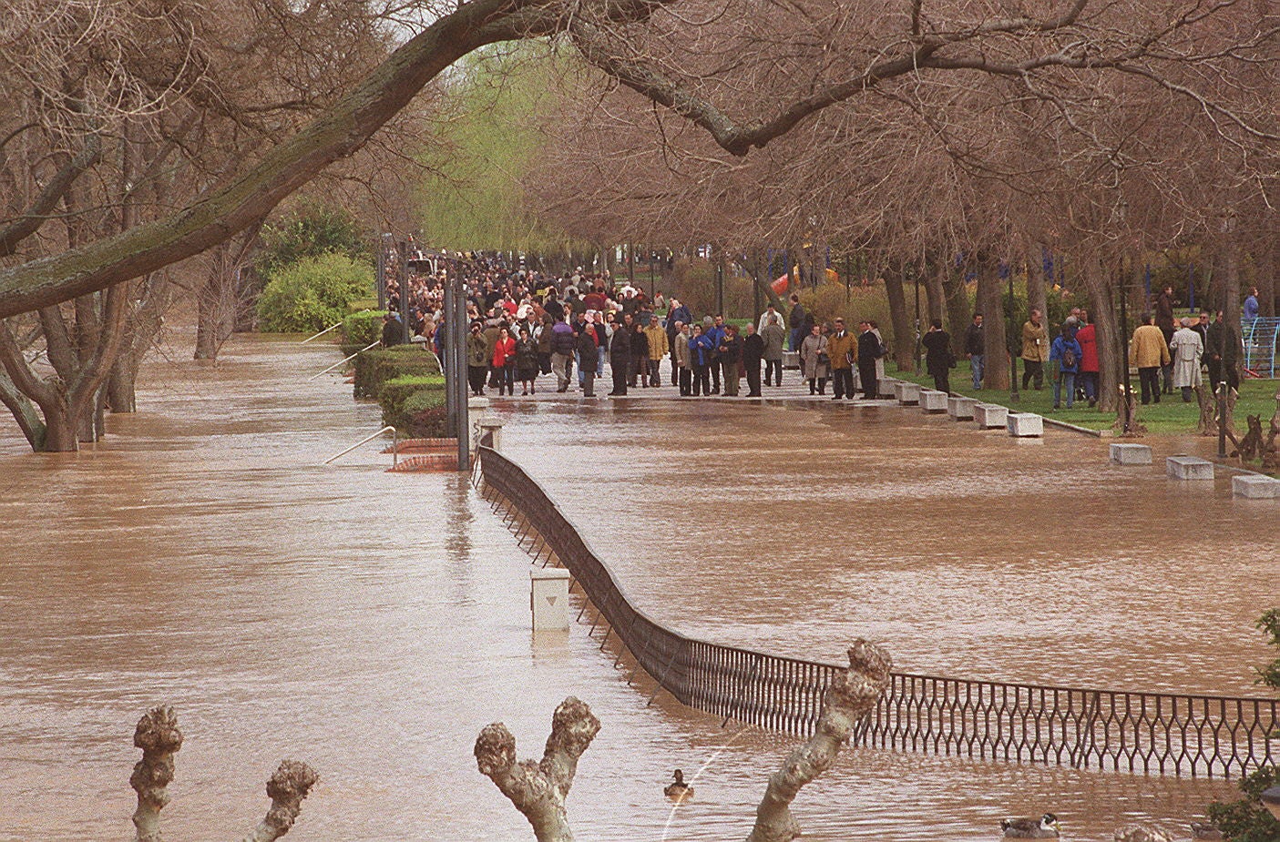 6 de marzo de 2001. Numerosos curiosos se acercaron a Las Moreras para contemplar la espectacular crecida del río Pisuerga.