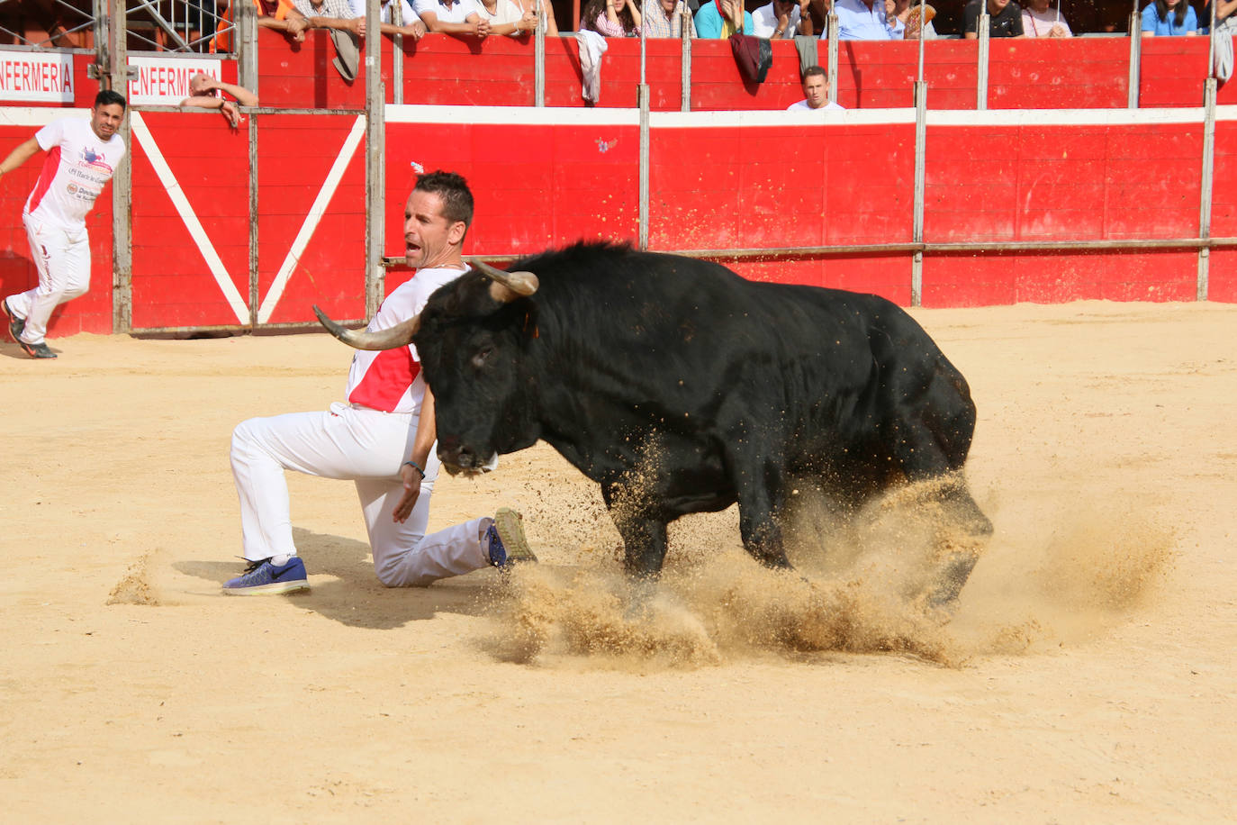 Participantes en el concurso de cortes de Riaza 