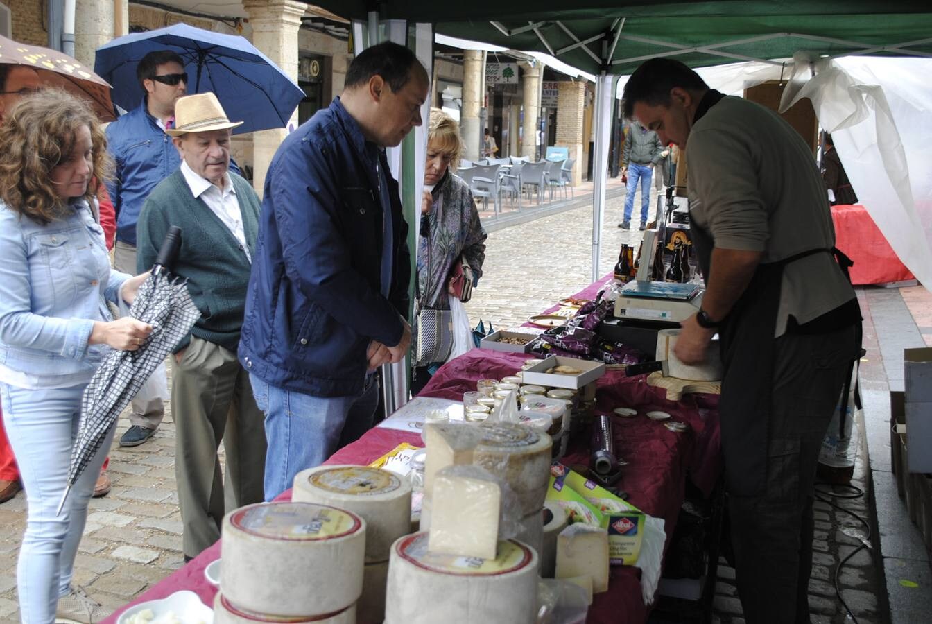 Fotos: IX Mercado del Queso de Villalón de Campos