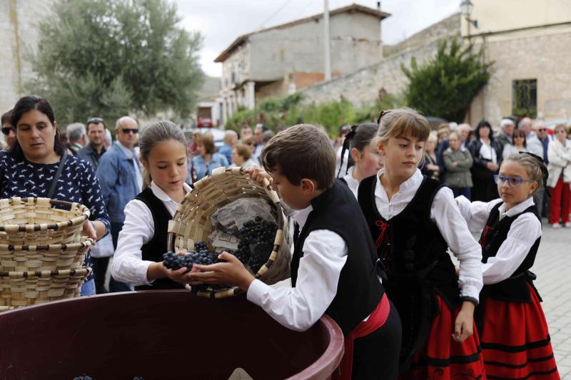Es la primera celebración de estas características que se celebra en la comarca de Peñafiel este año.