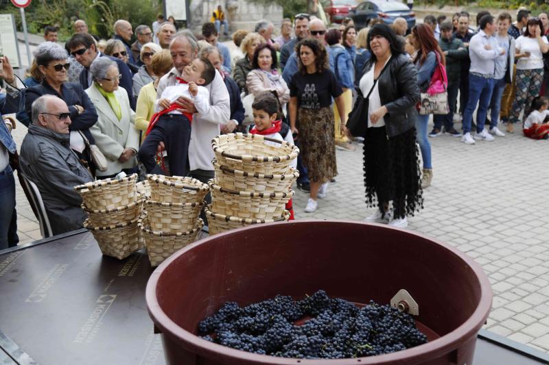 Es la primera celebración de estas características que se celebra en la comarca de Peñafiel este año.