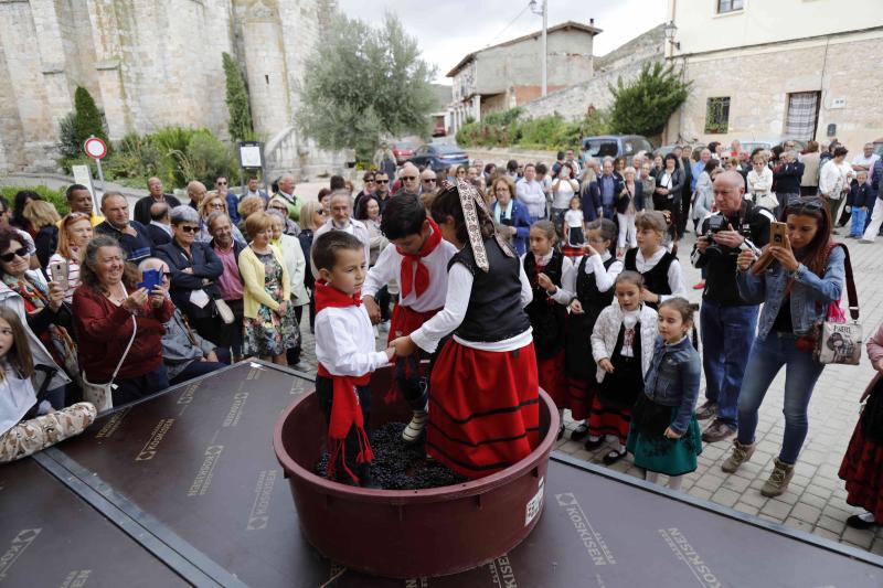 Es la primera celebración de estas características que se celebra en la comarca de Peñafiel este año.