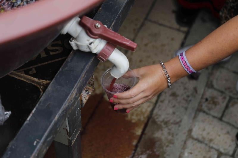 Es la primera celebración de estas características que se celebra en la comarca de Peñafiel este año.