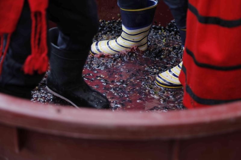 Es la primera celebración de estas características que se celebra en la comarca de Peñafiel este año.