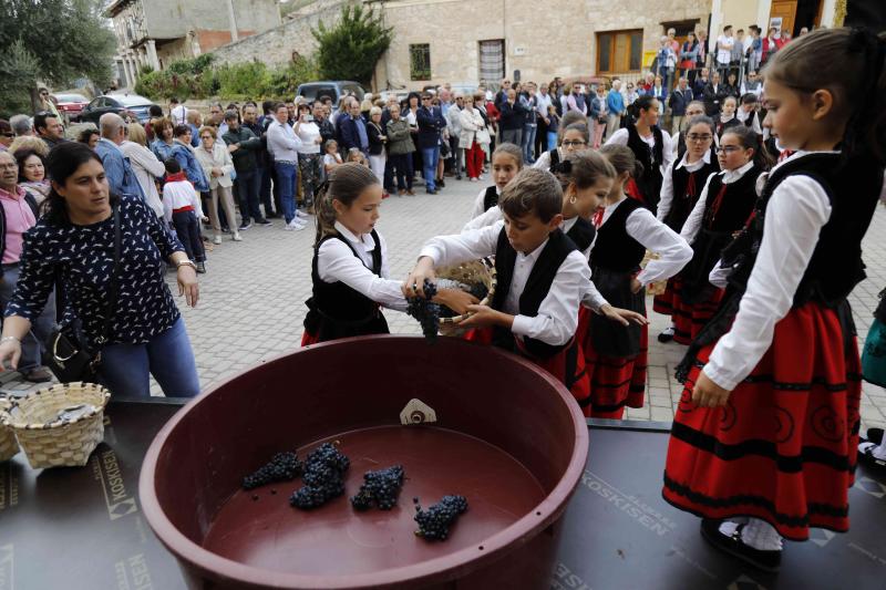 Es la primera celebración de estas características que se celebra en la comarca de Peñafiel este año.