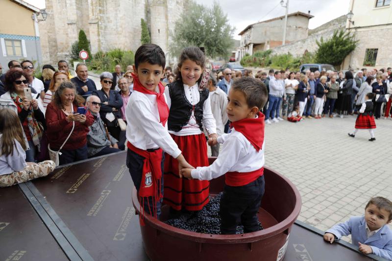Es la primera celebración de estas características que se celebra en la comarca de Peñafiel este año.