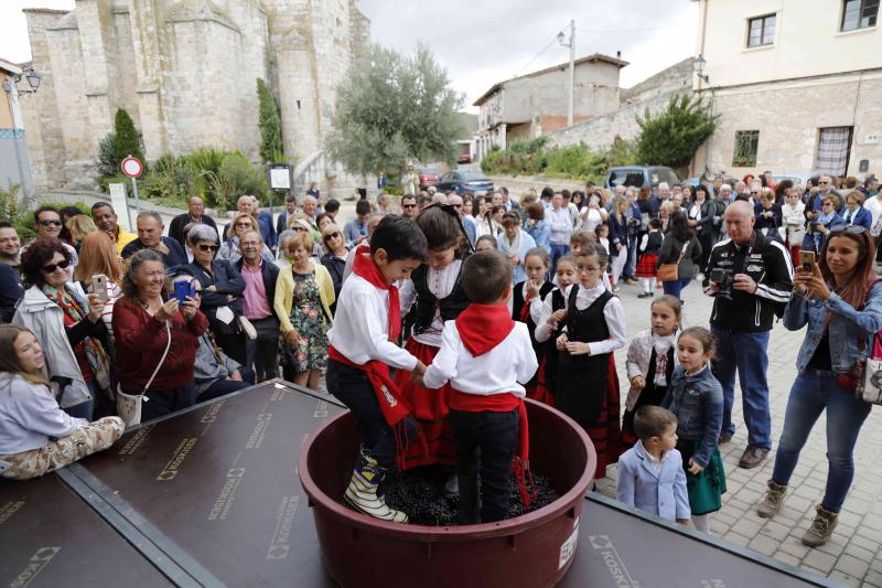 Es la primera celebración de estas características que se celebra en la comarca de Peñafiel este año.