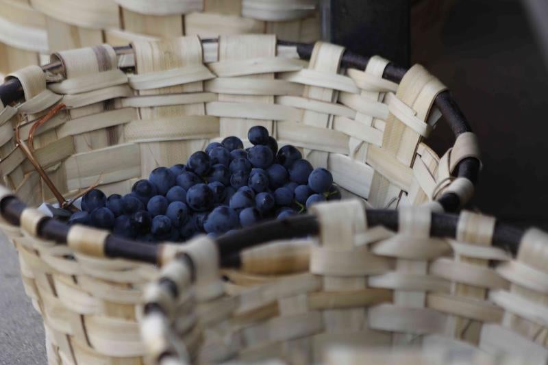 Es la primera celebración de estas características que se celebra en la comarca de Peñafiel este año.