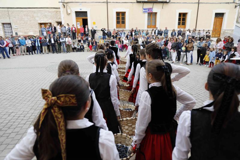Es la primera celebración de estas características que se celebra en la comarca de Peñafiel este año.
