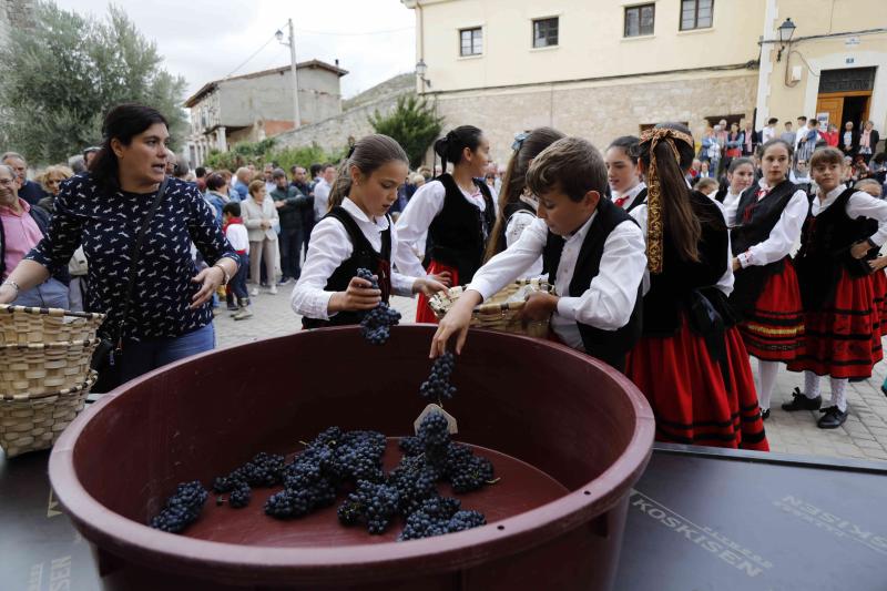 Es la primera celebración de estas características que se celebra en la comarca de Peñafiel este año.