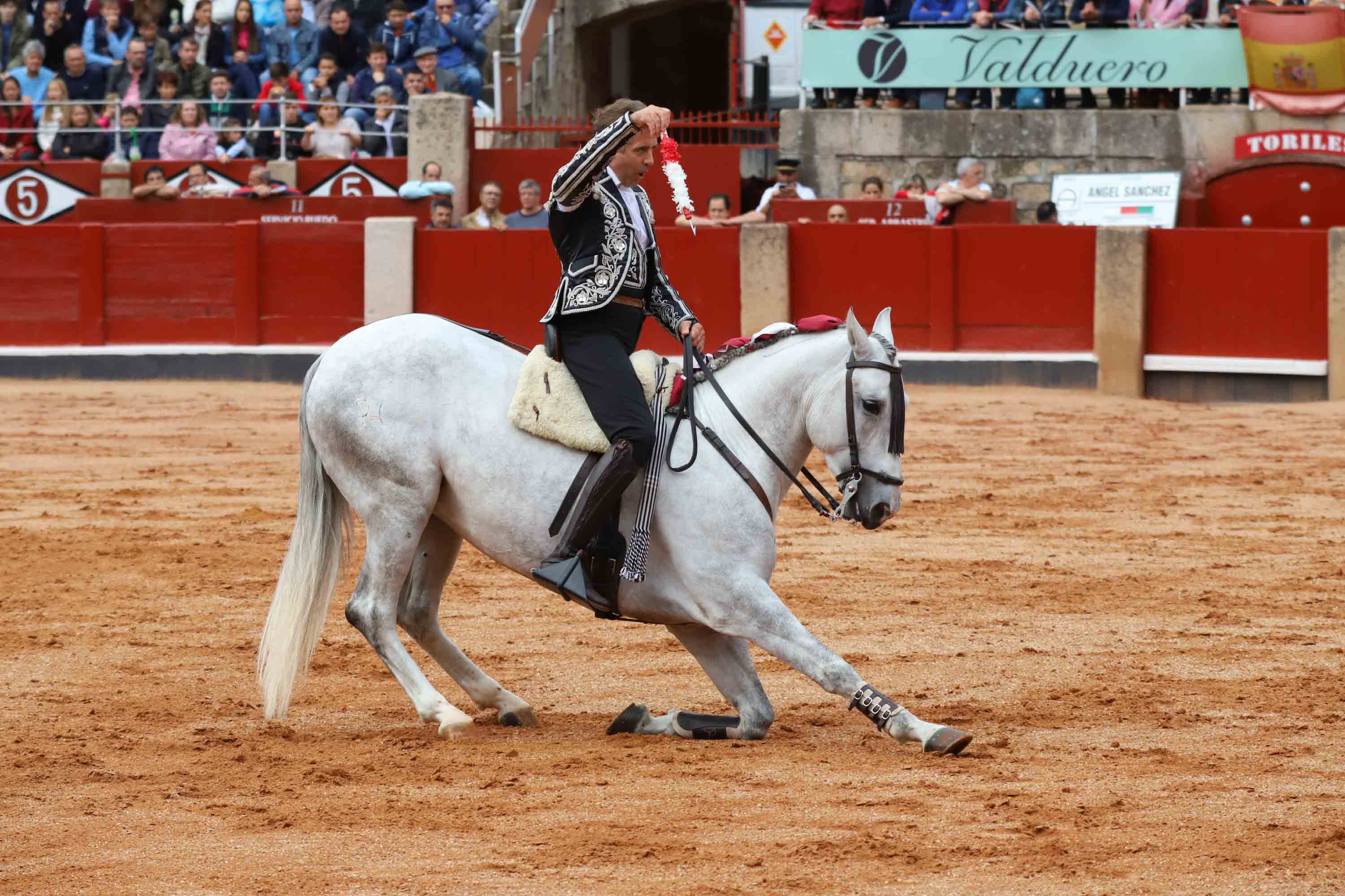 Lea Vicens y Guillermo Hermoso de Mendoza abrieron la puerta grande de La Glorieta tras cortar dos orejas cada uno en el sexto y último festejo de la Feria de Salamanca en el que Pablo Hermoso de Mendoza con toros de Herederos de Sánchez y Sánchez se fue de vacío