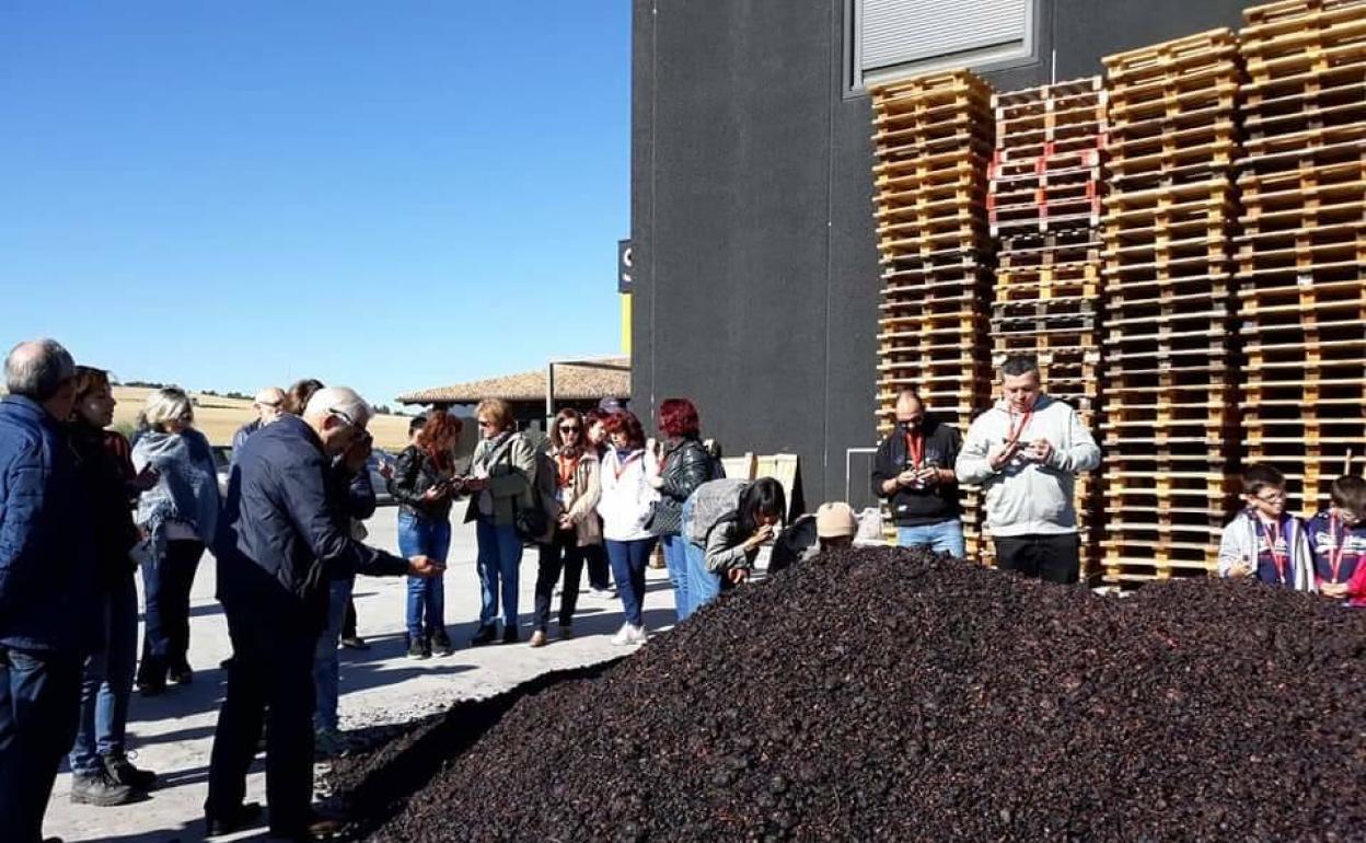 Un grupo de visitantes en una bodega moderna de Mucientes, en Valladolid. 