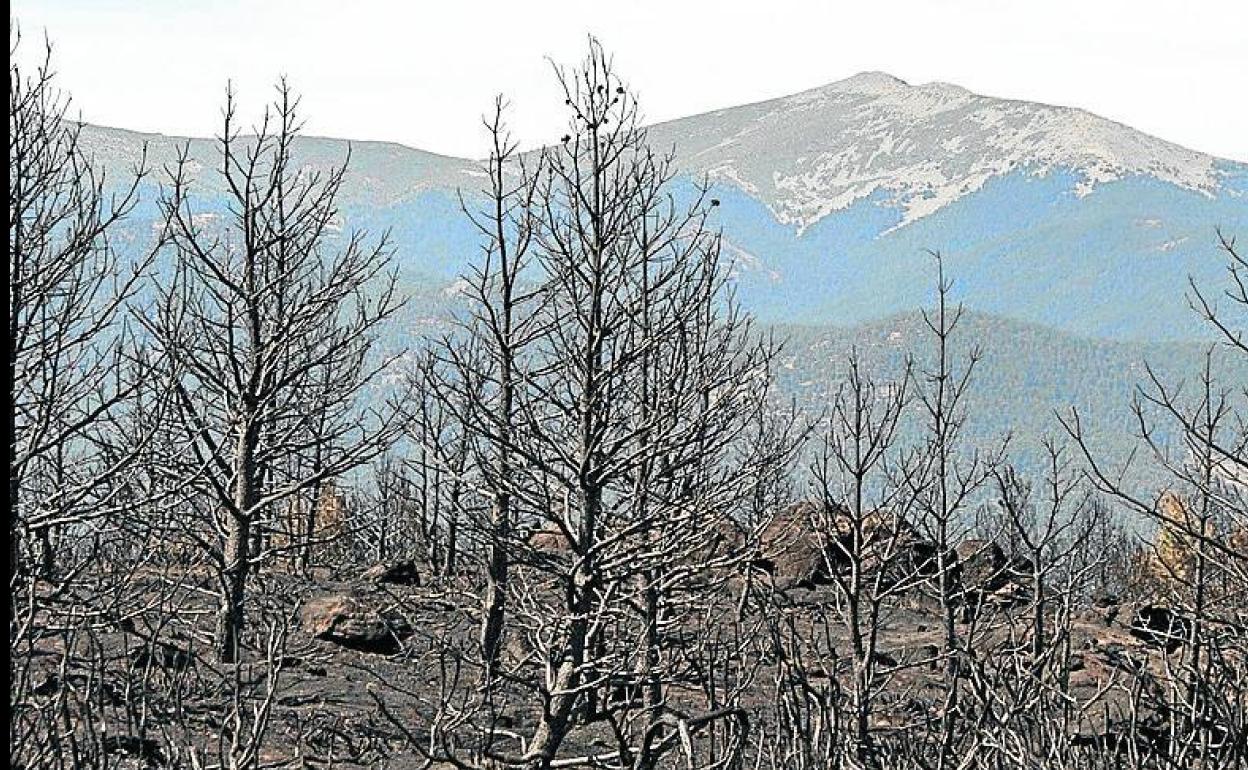 La sierra, tras el incendio del día 4 de agosto. 